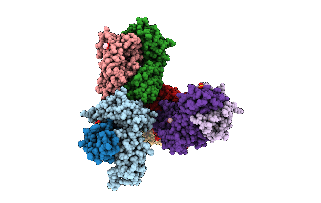 5NME image
