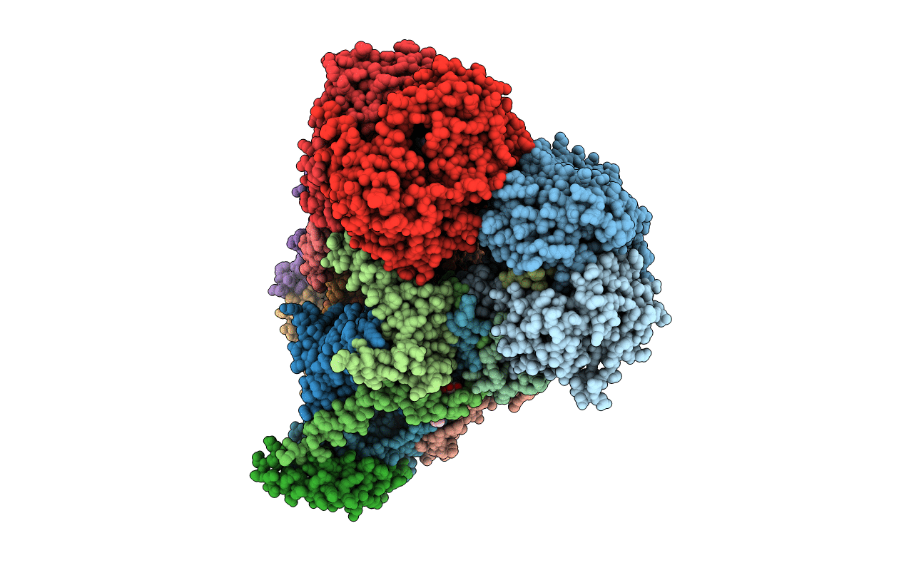 5NMI image