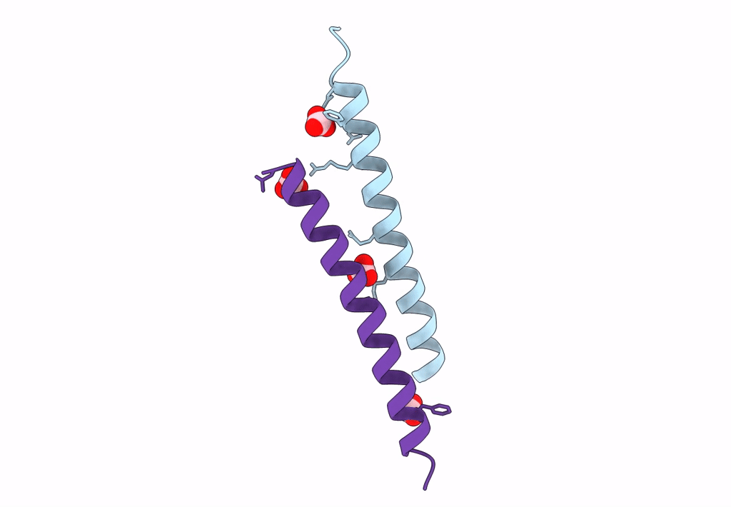 5NNM image