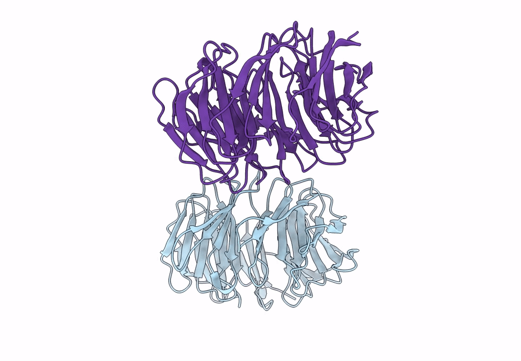 5NNZ image