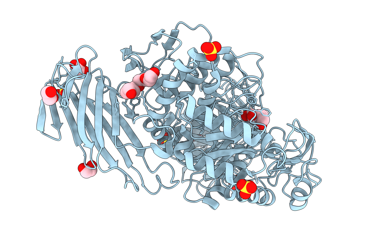 5NPE image