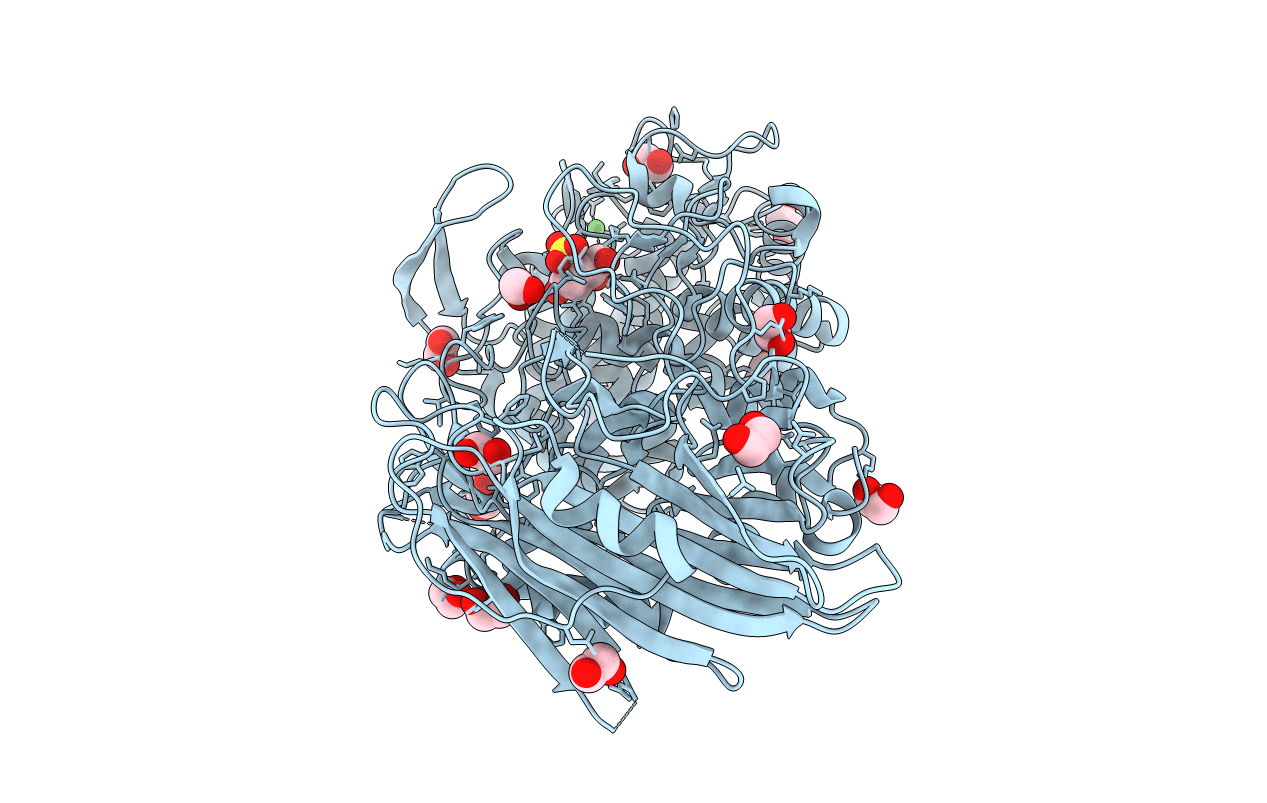 5NPF image