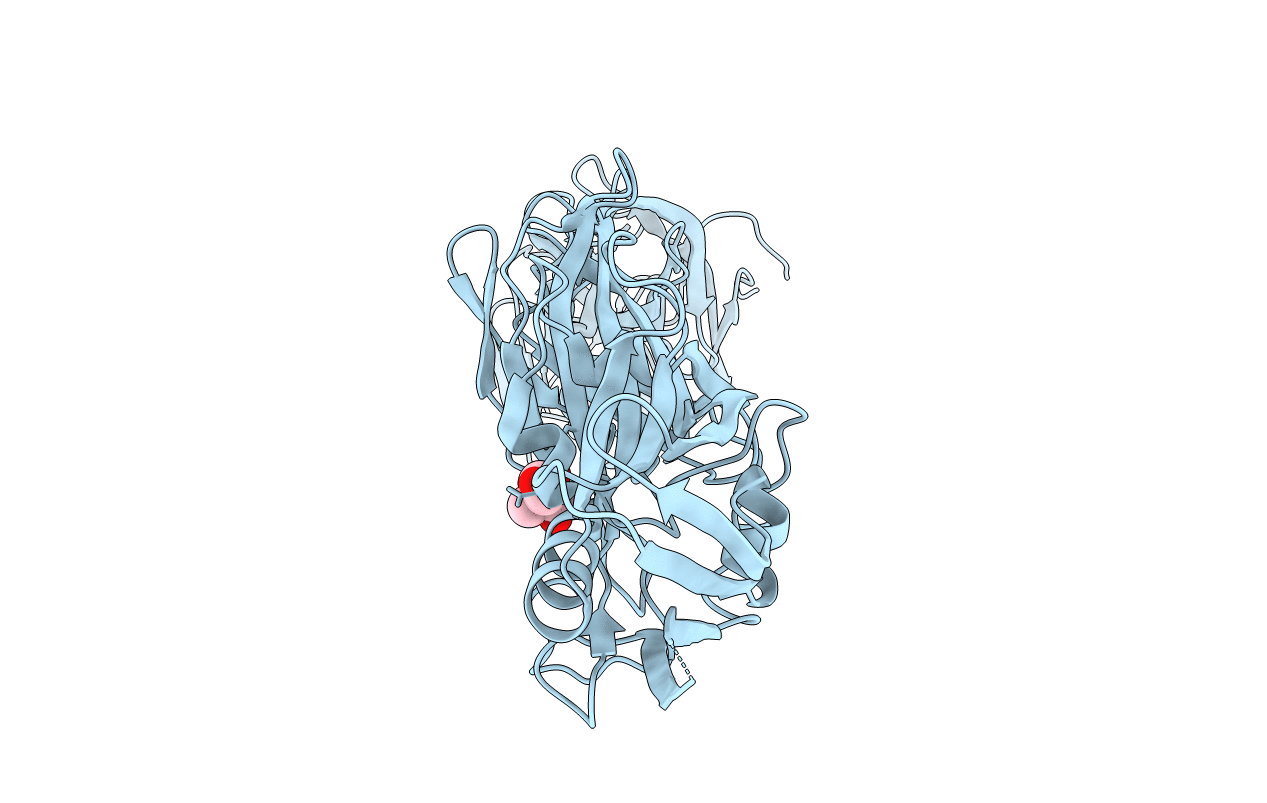 5NPY image
