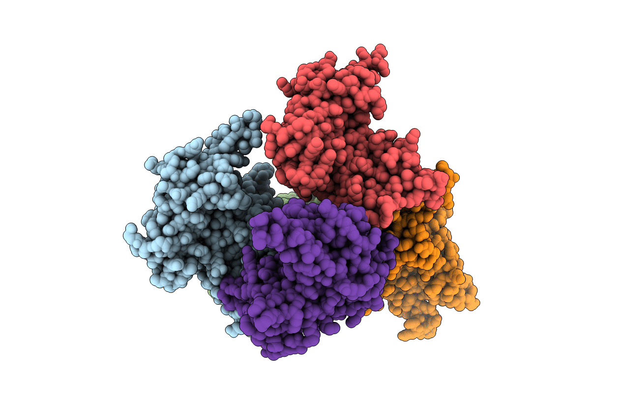 5NQX image