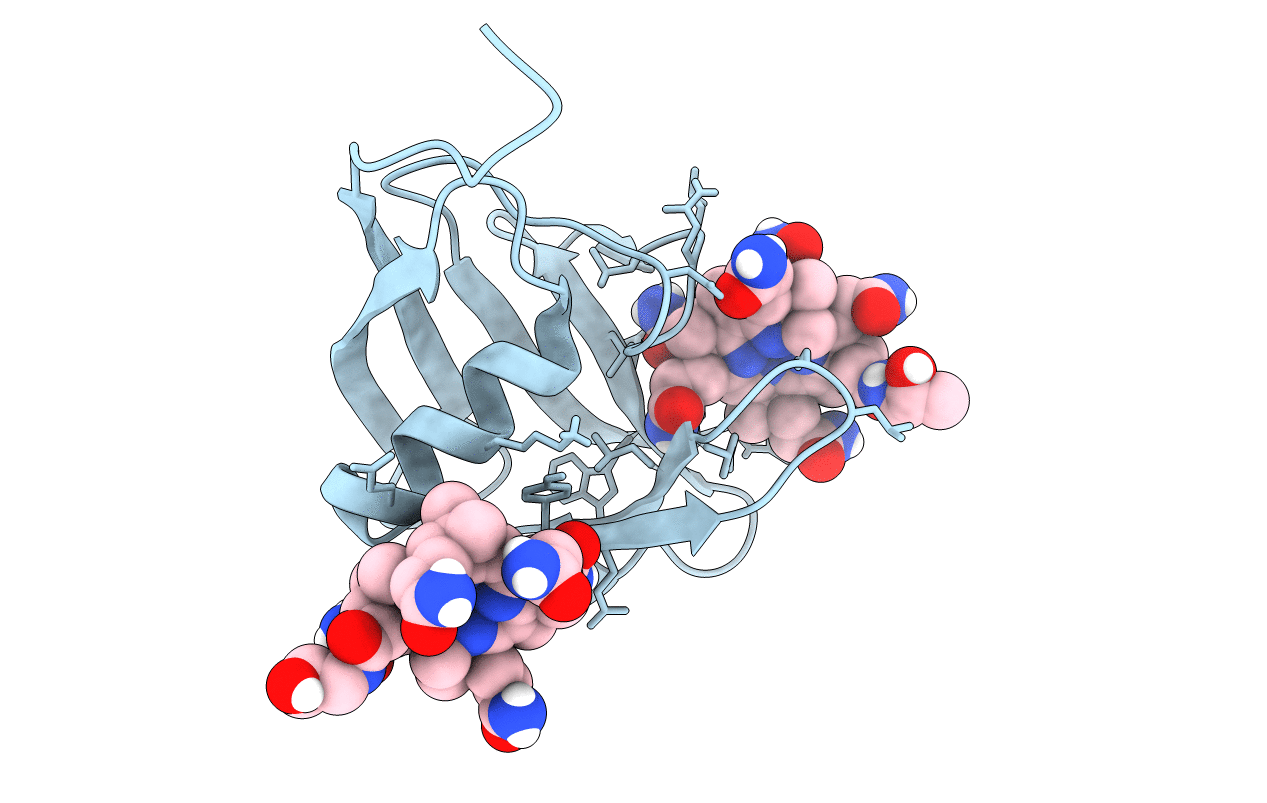 5NRP image
