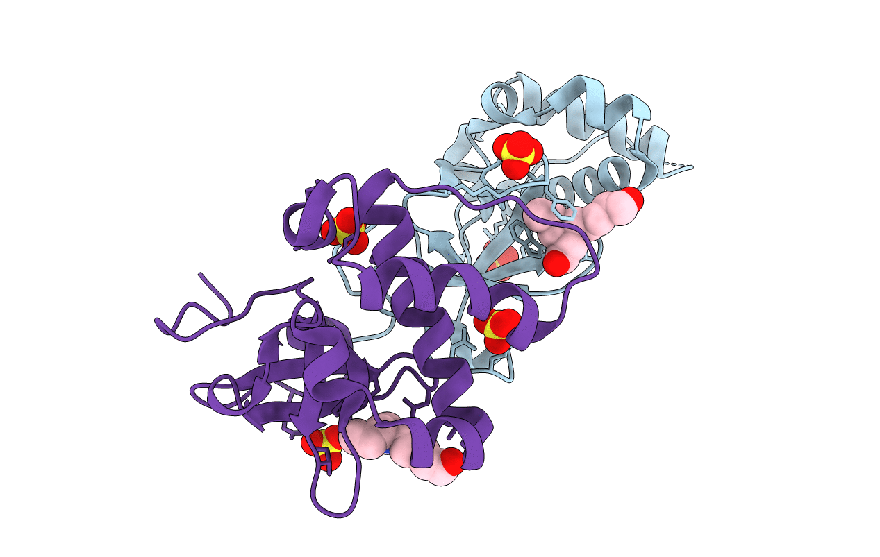 5NRR image