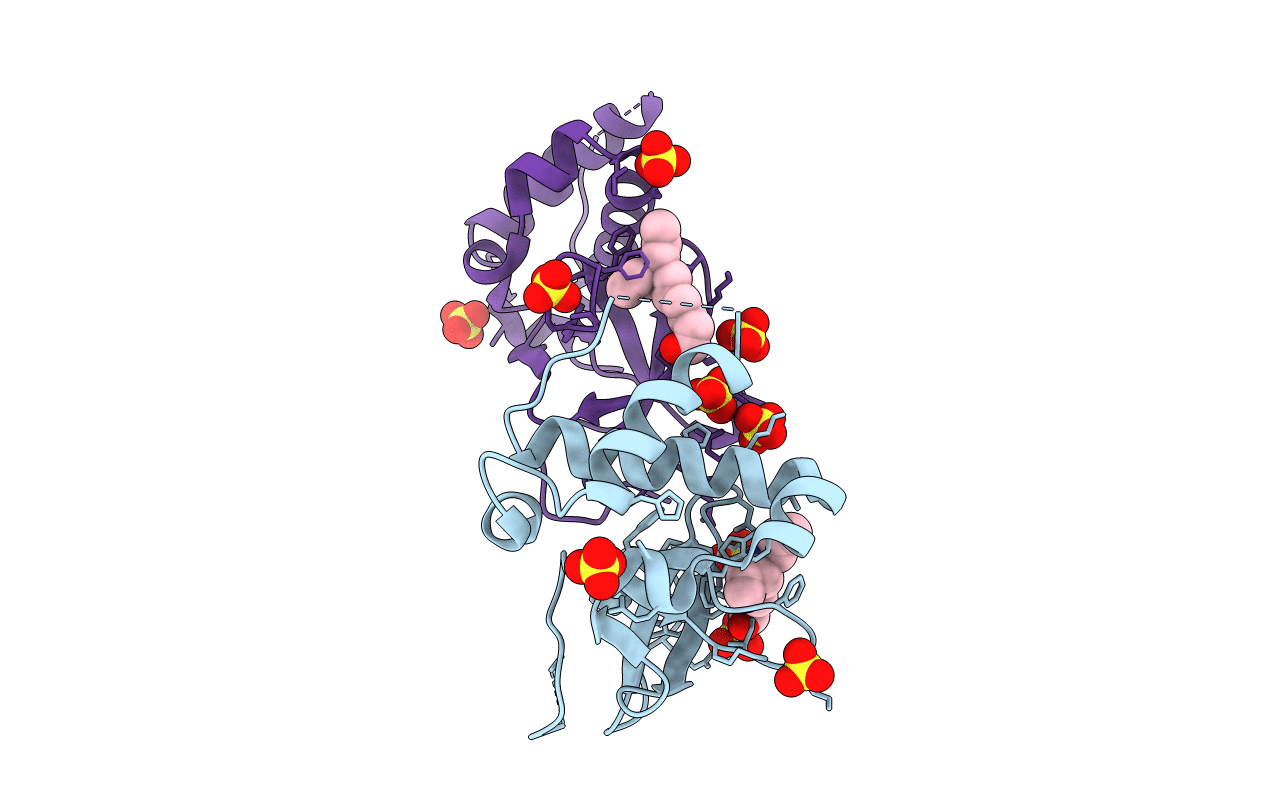 5NRV image