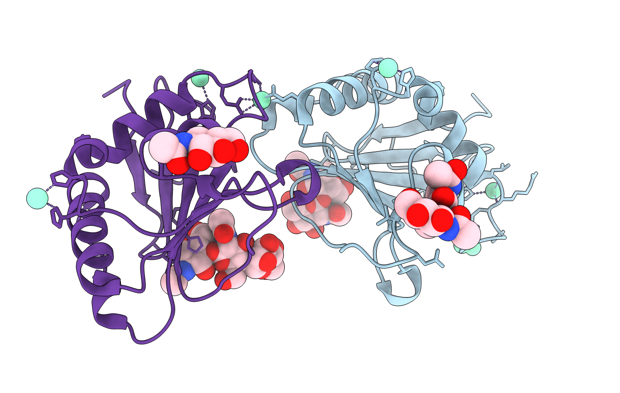 5NSJ image