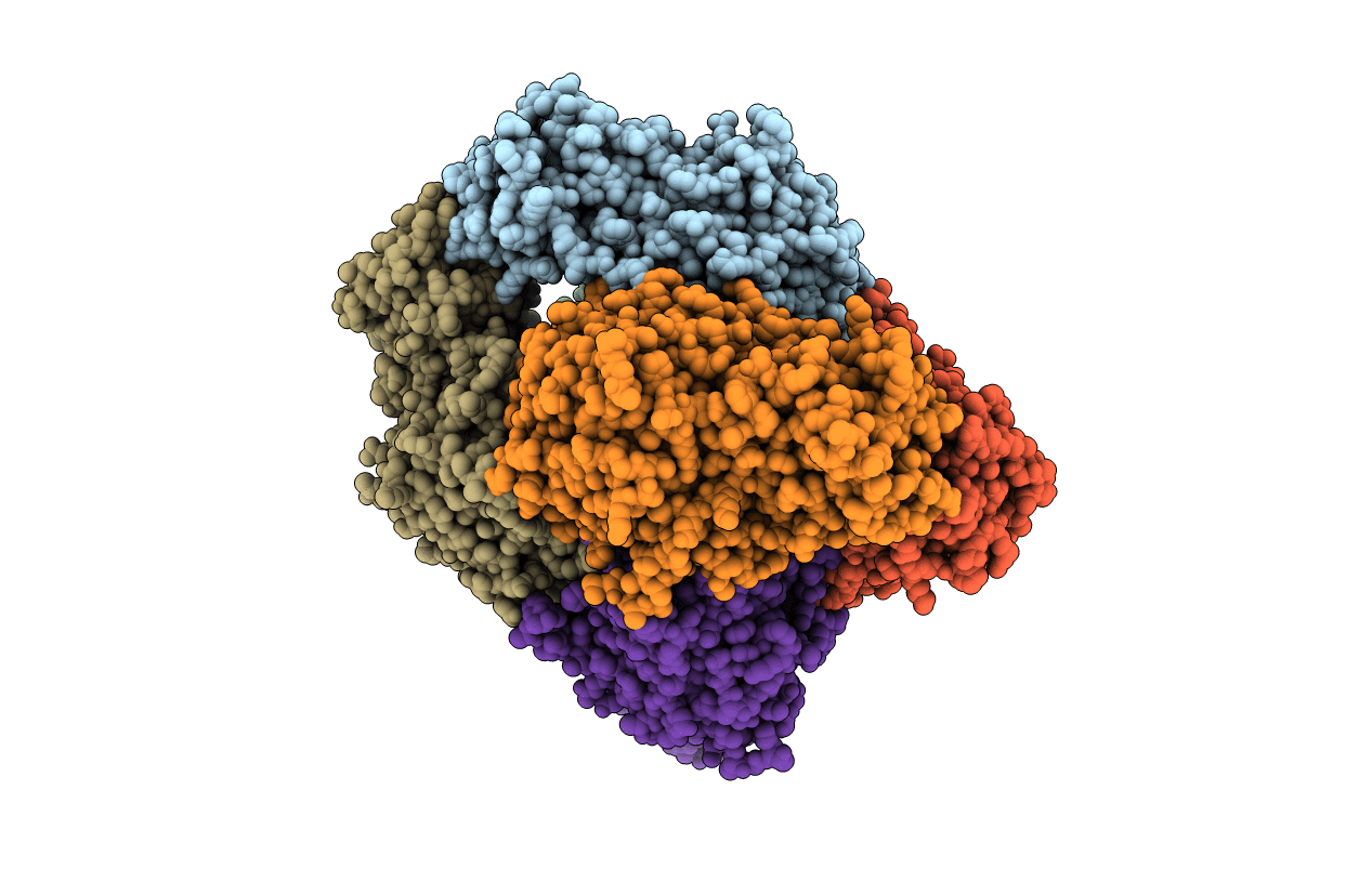 5NSK image