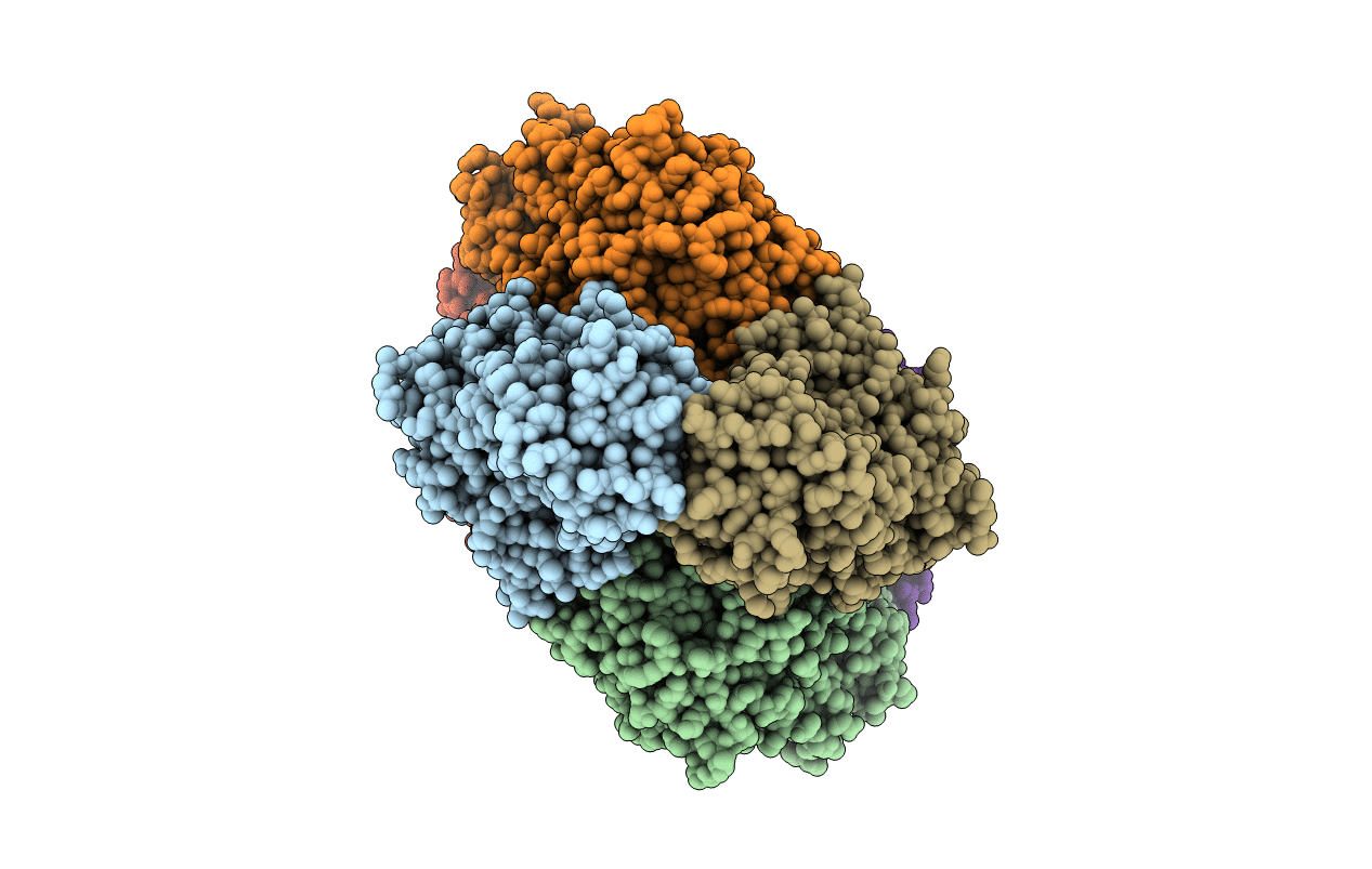 5NSQ image