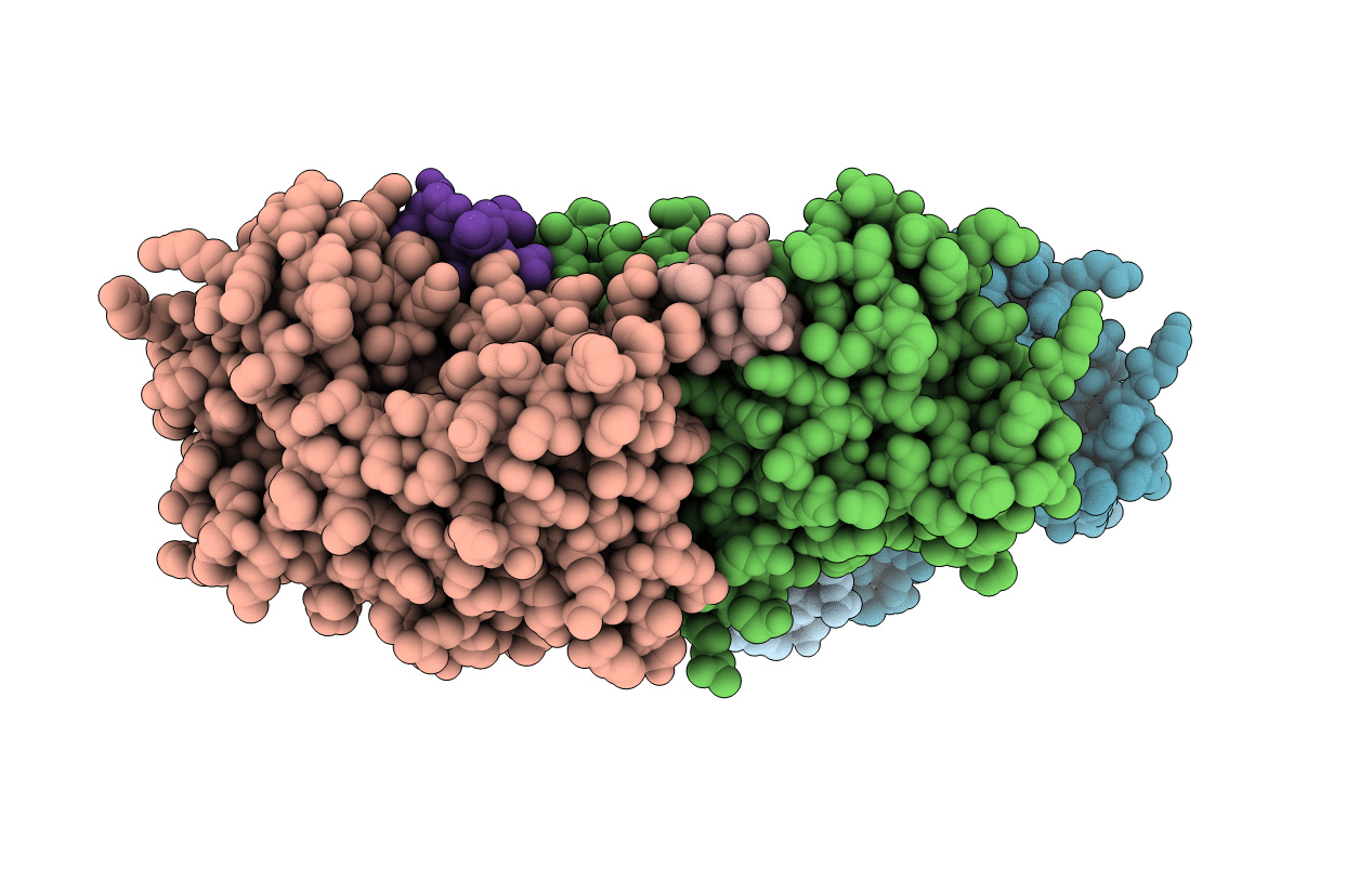 5NTI image