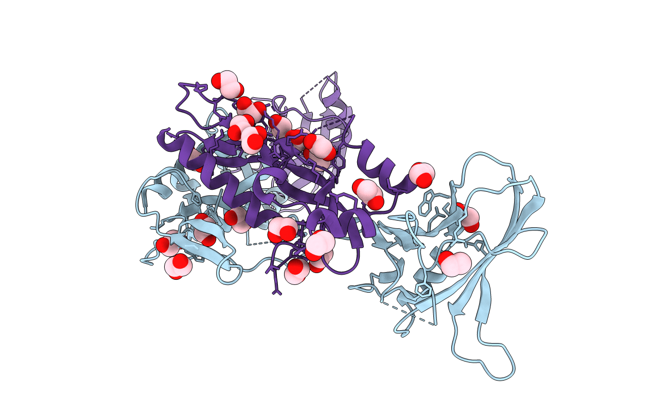 5NTU image
