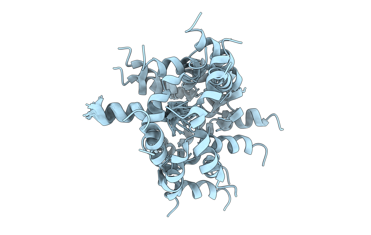 5NVP image