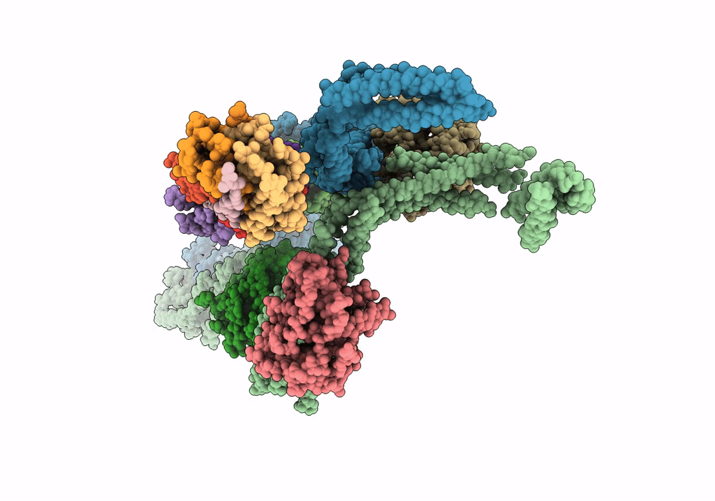 5NVS image