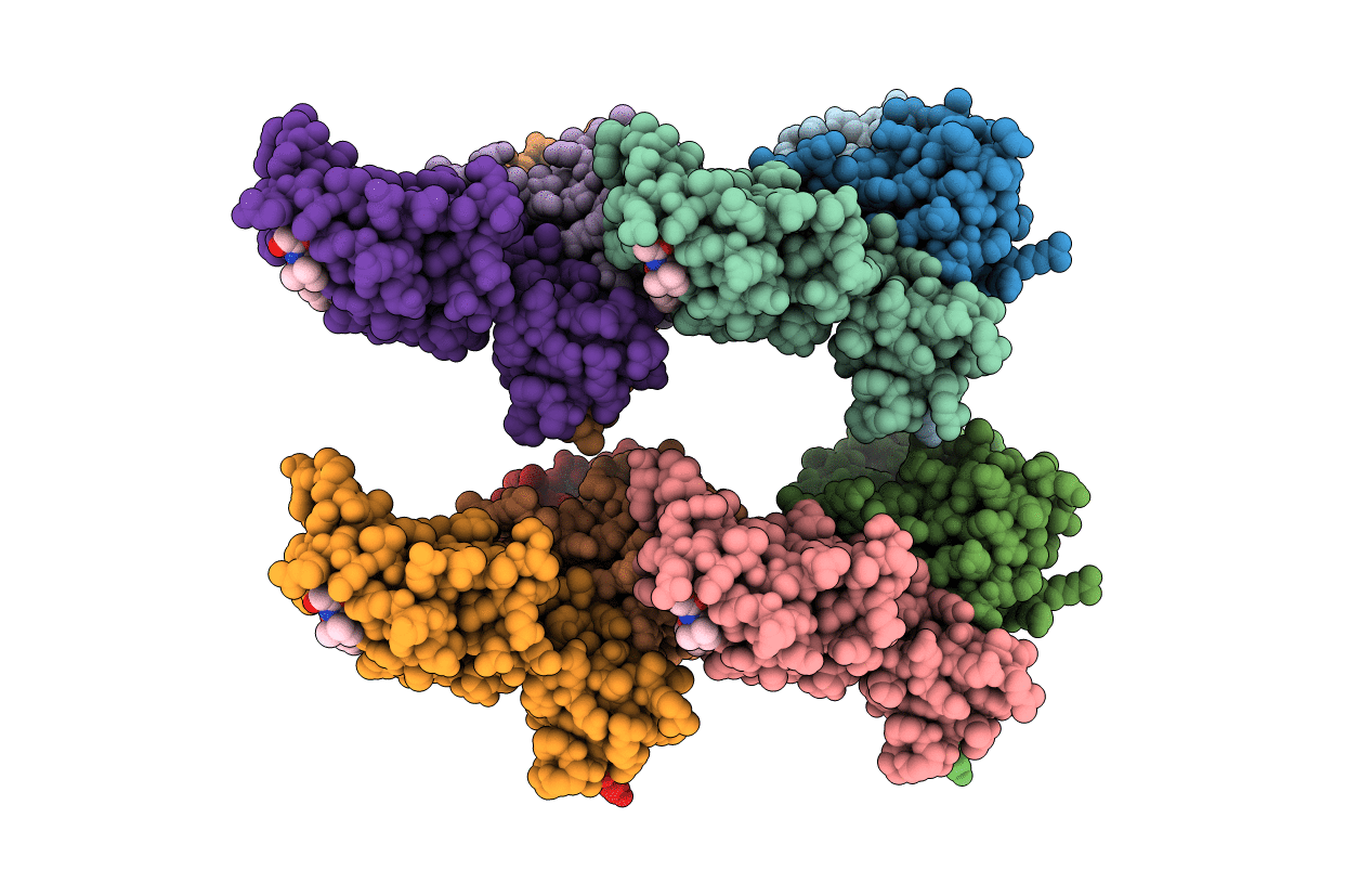 5NVV image