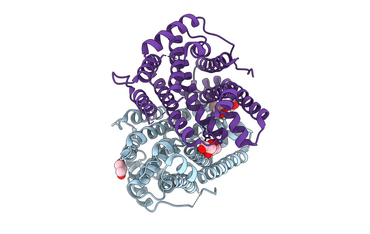 5NX4 image