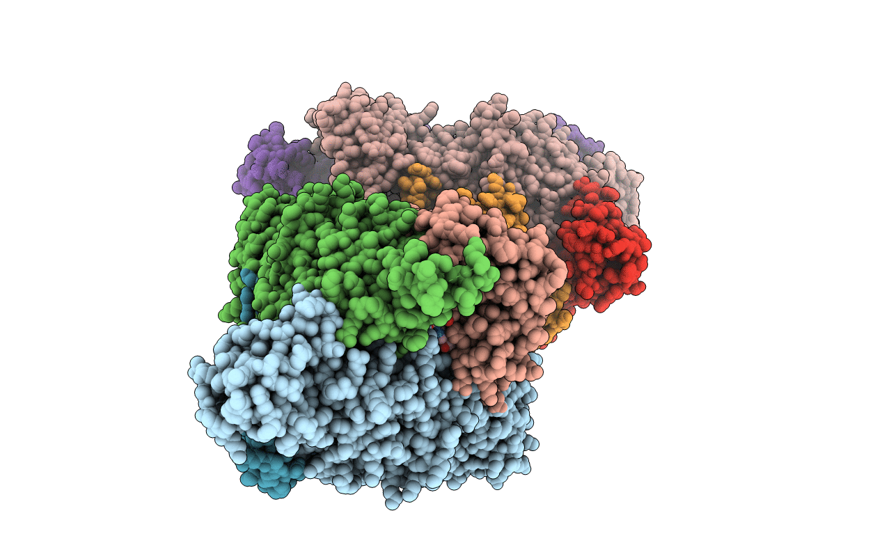 5NXA image