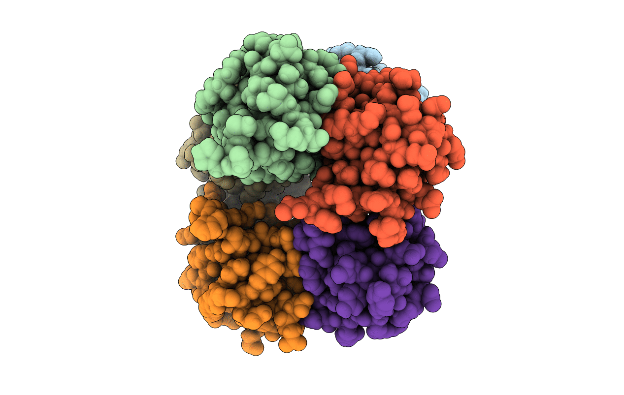 5NXJ image
