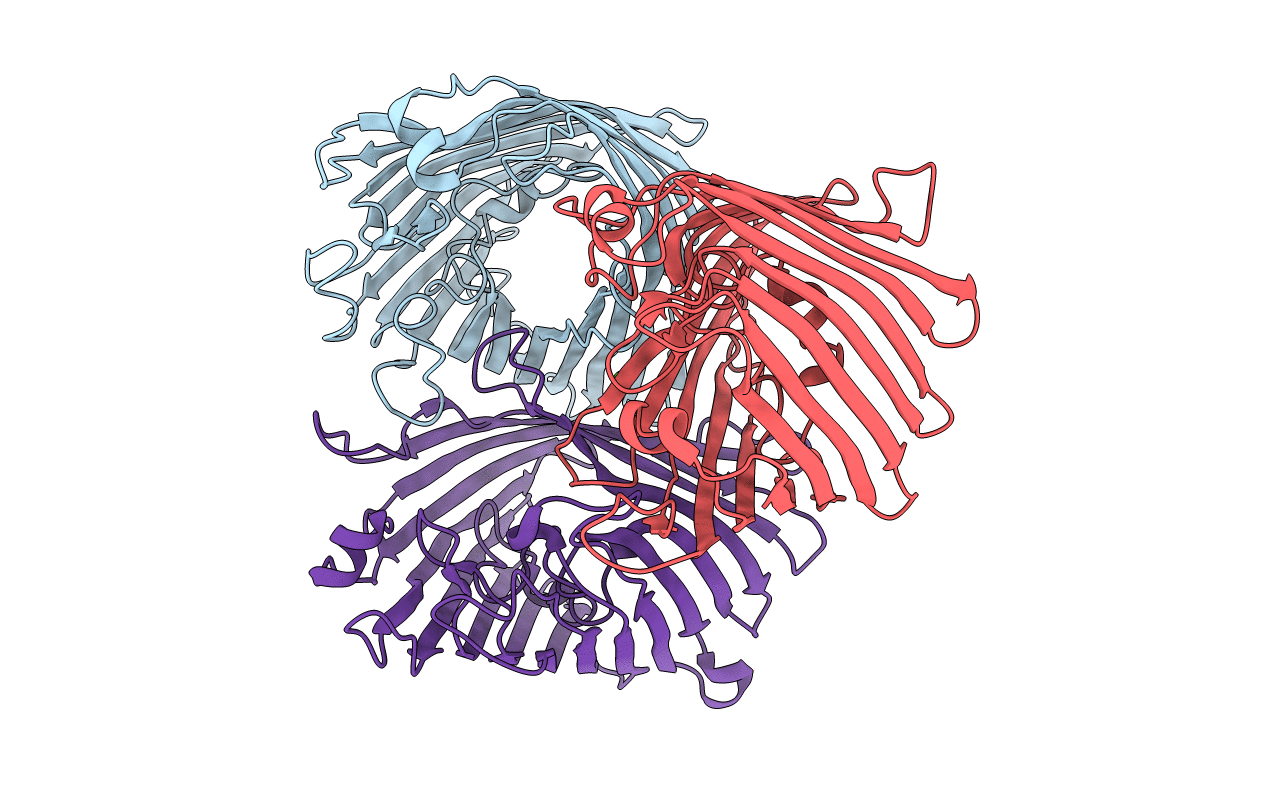 5NXN image