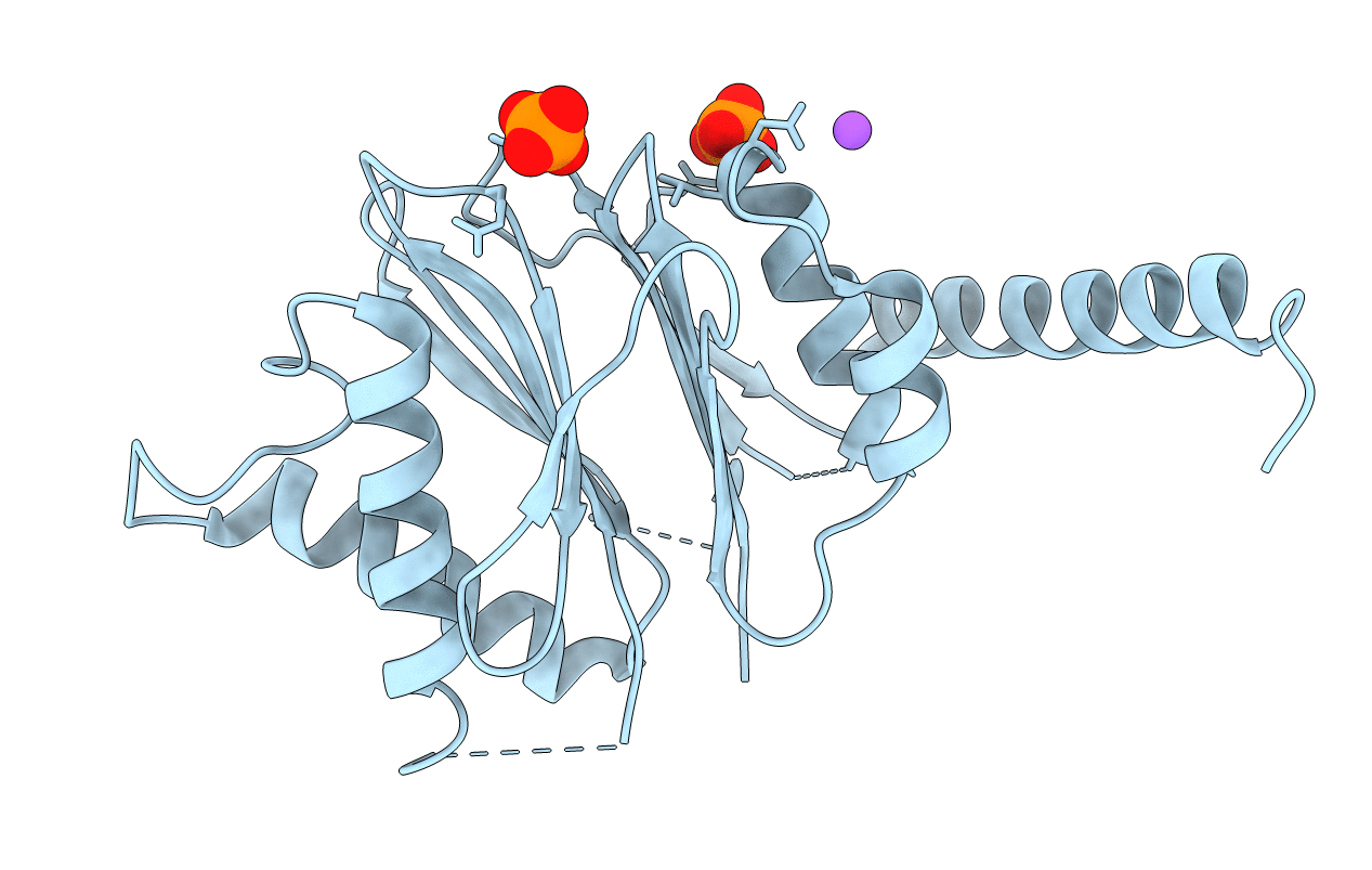 5NYQ image