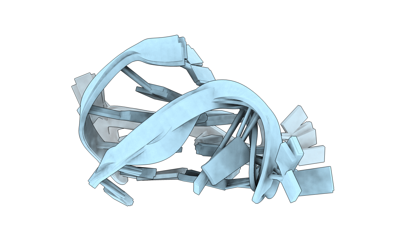 5NYU image
