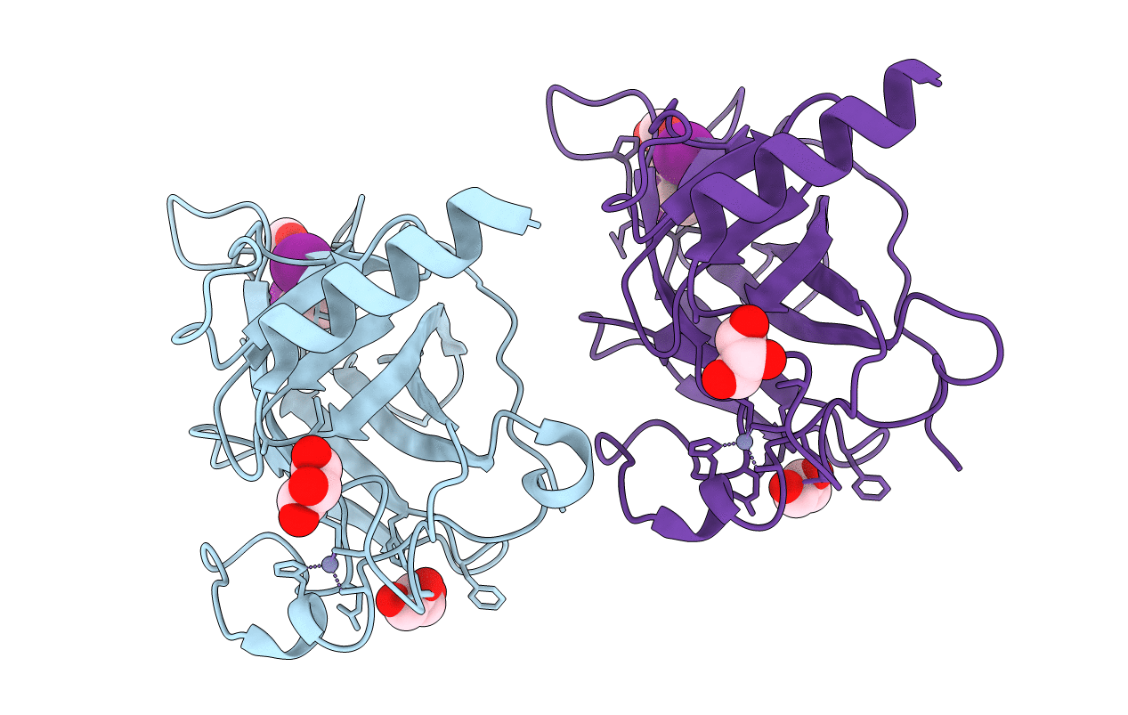 5O1B image