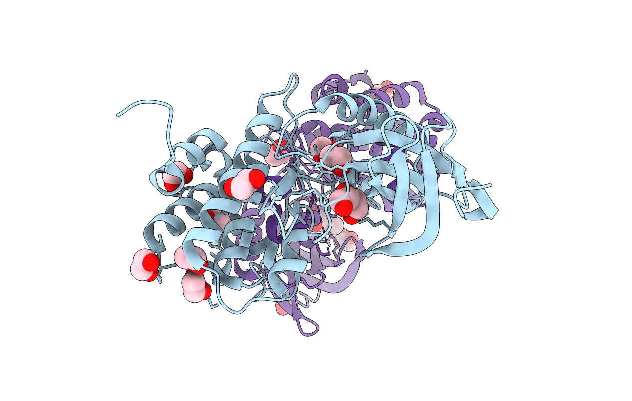 5O1V image