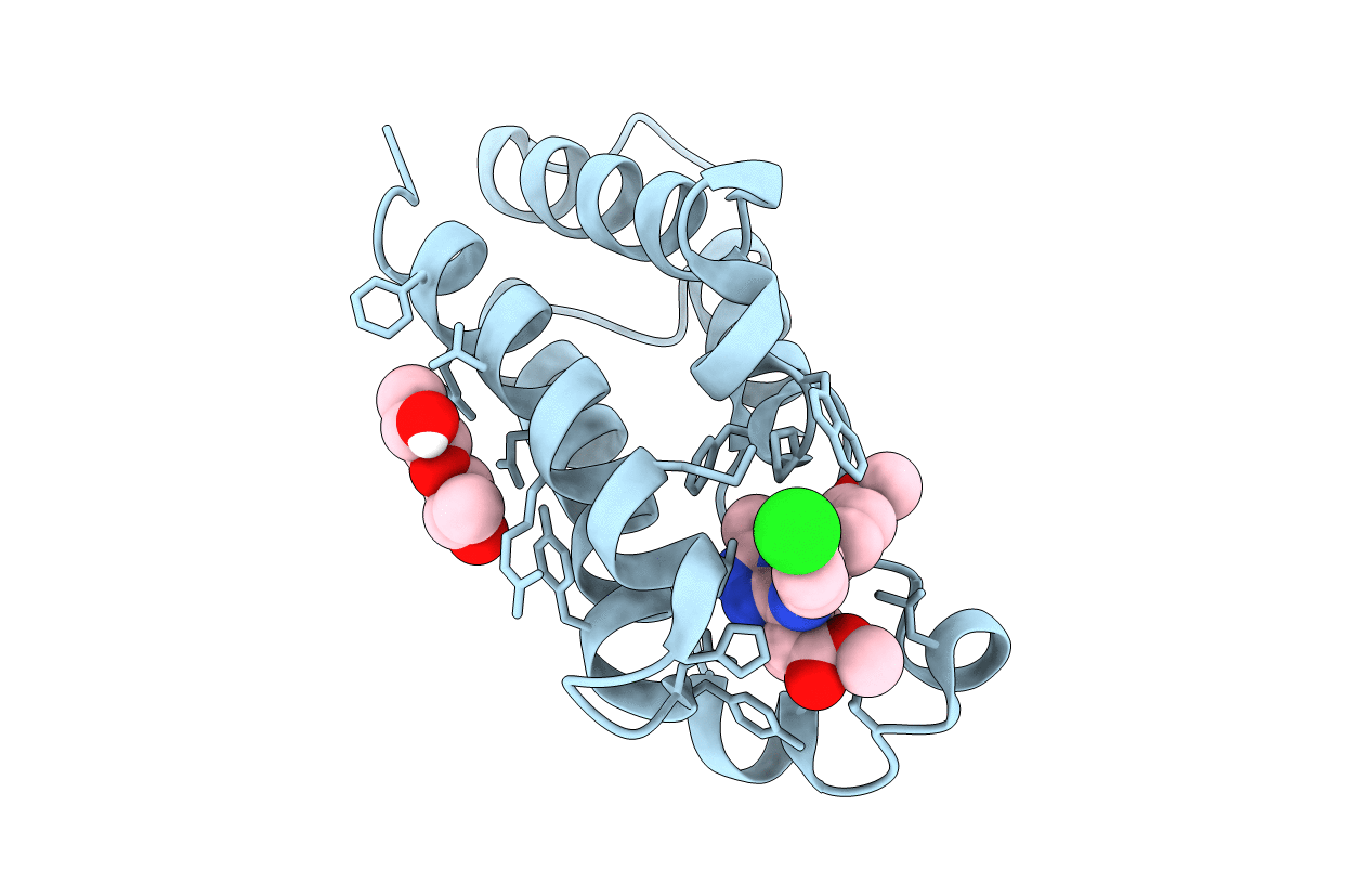 5O3D image