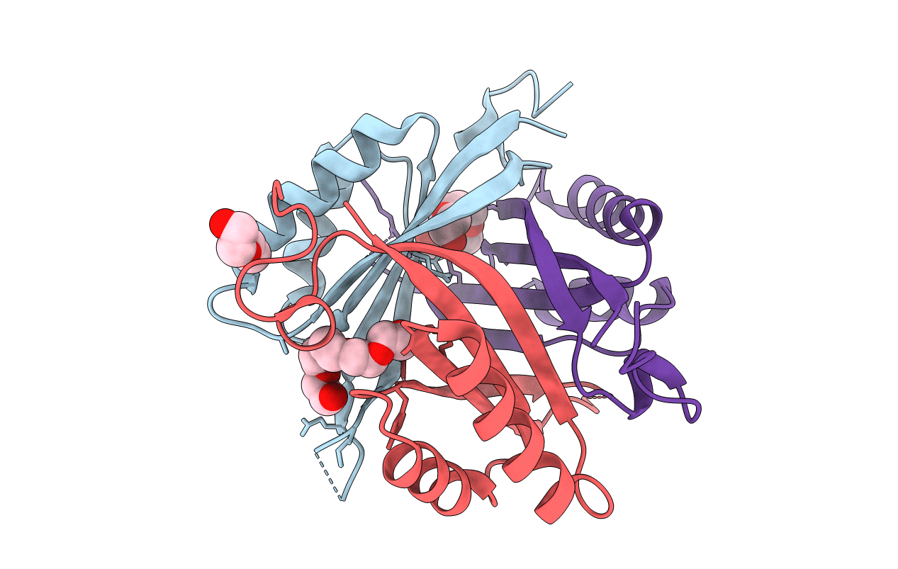 5O3P image