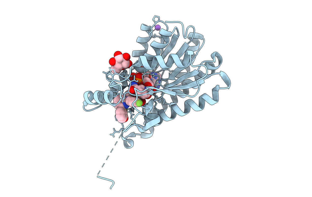 5O43 image