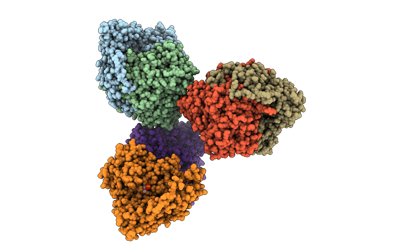 5O5C image