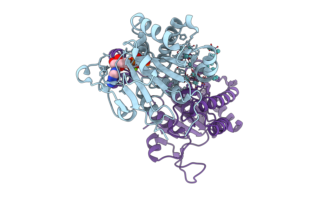 5O5W image