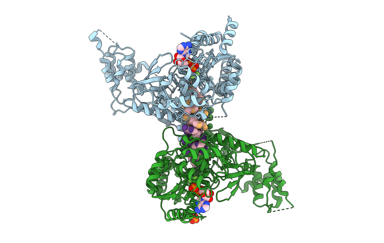 5O6B image