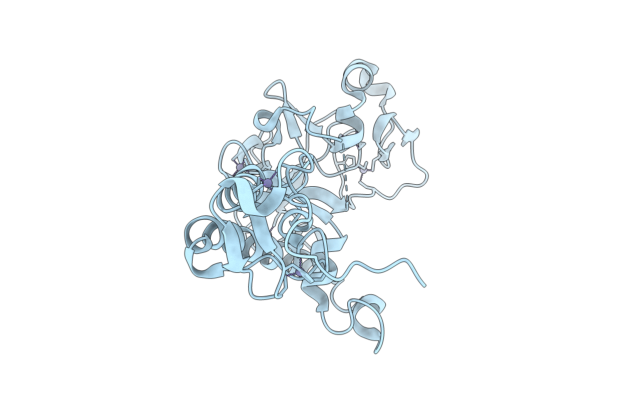 5O6C image