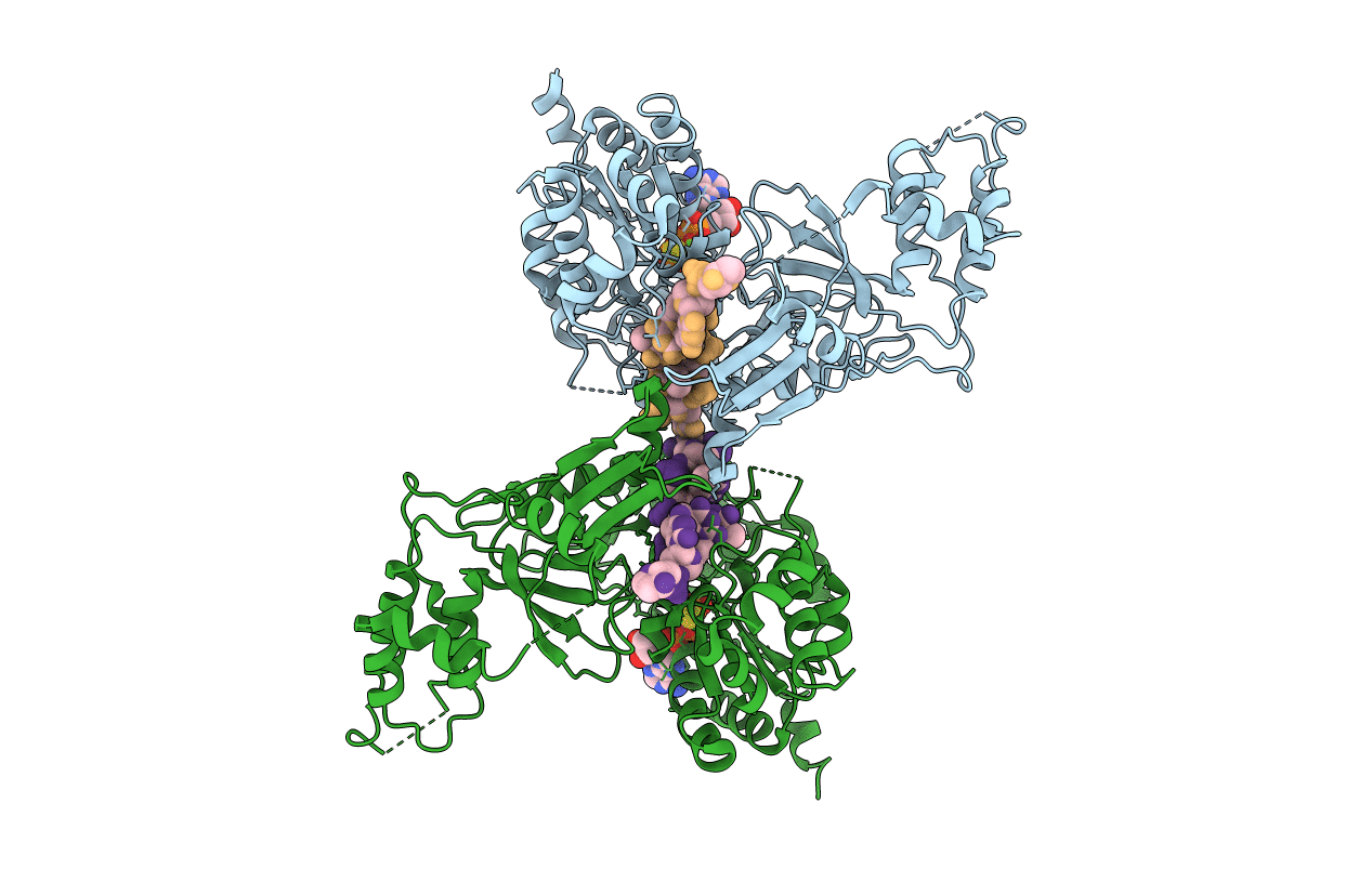 5O6D image