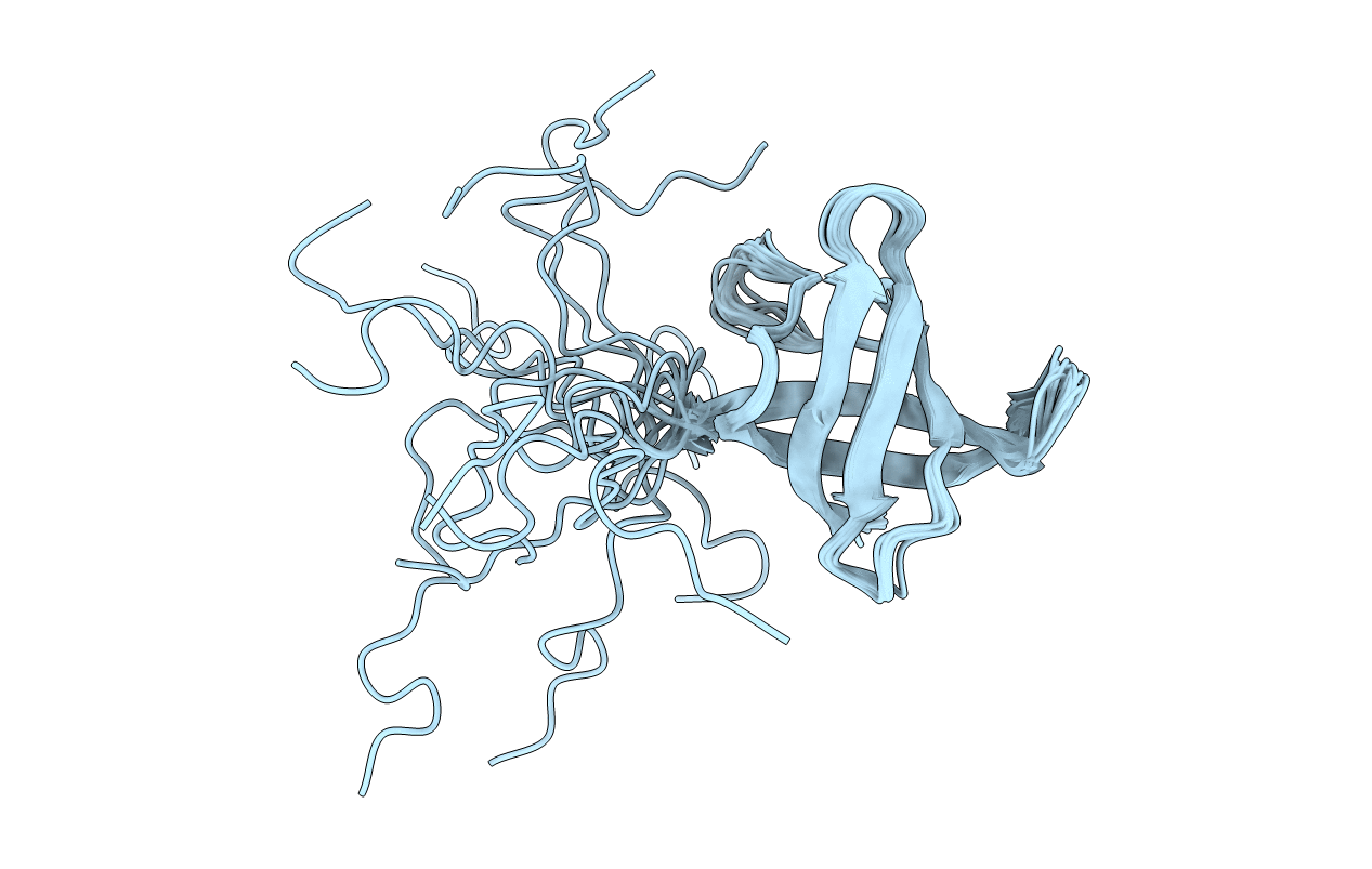 5O6F image