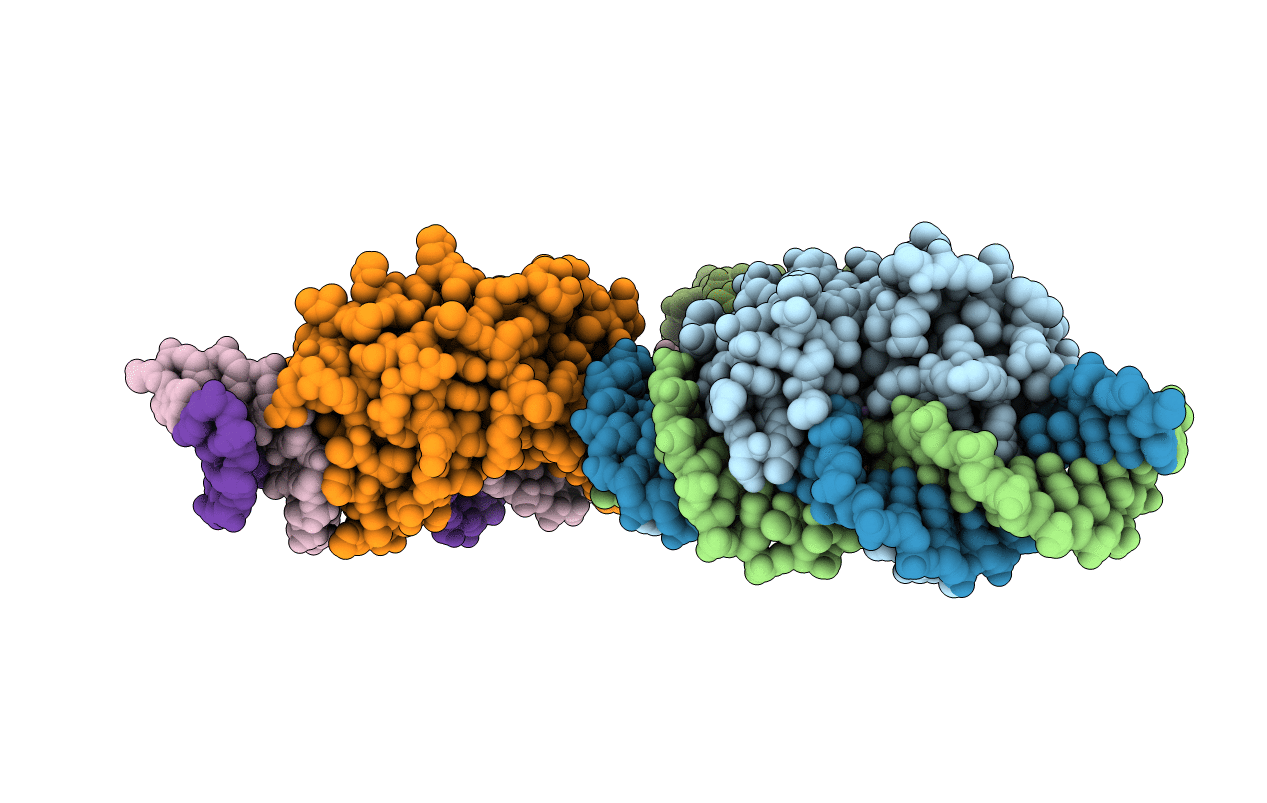 5O6G image