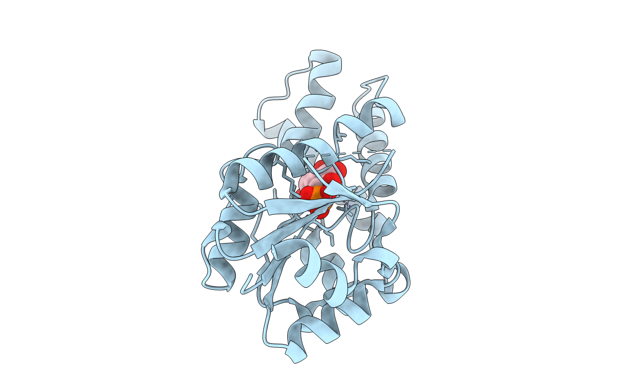 5O6P image