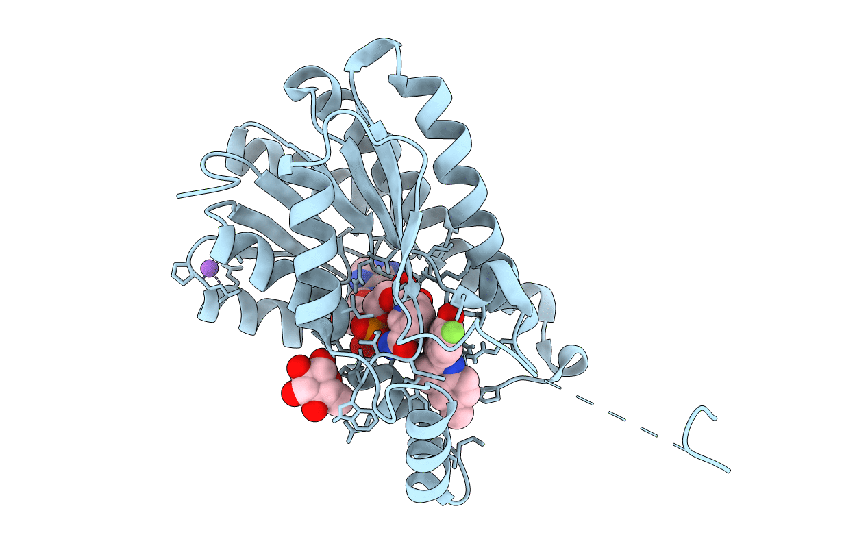 5O6X image