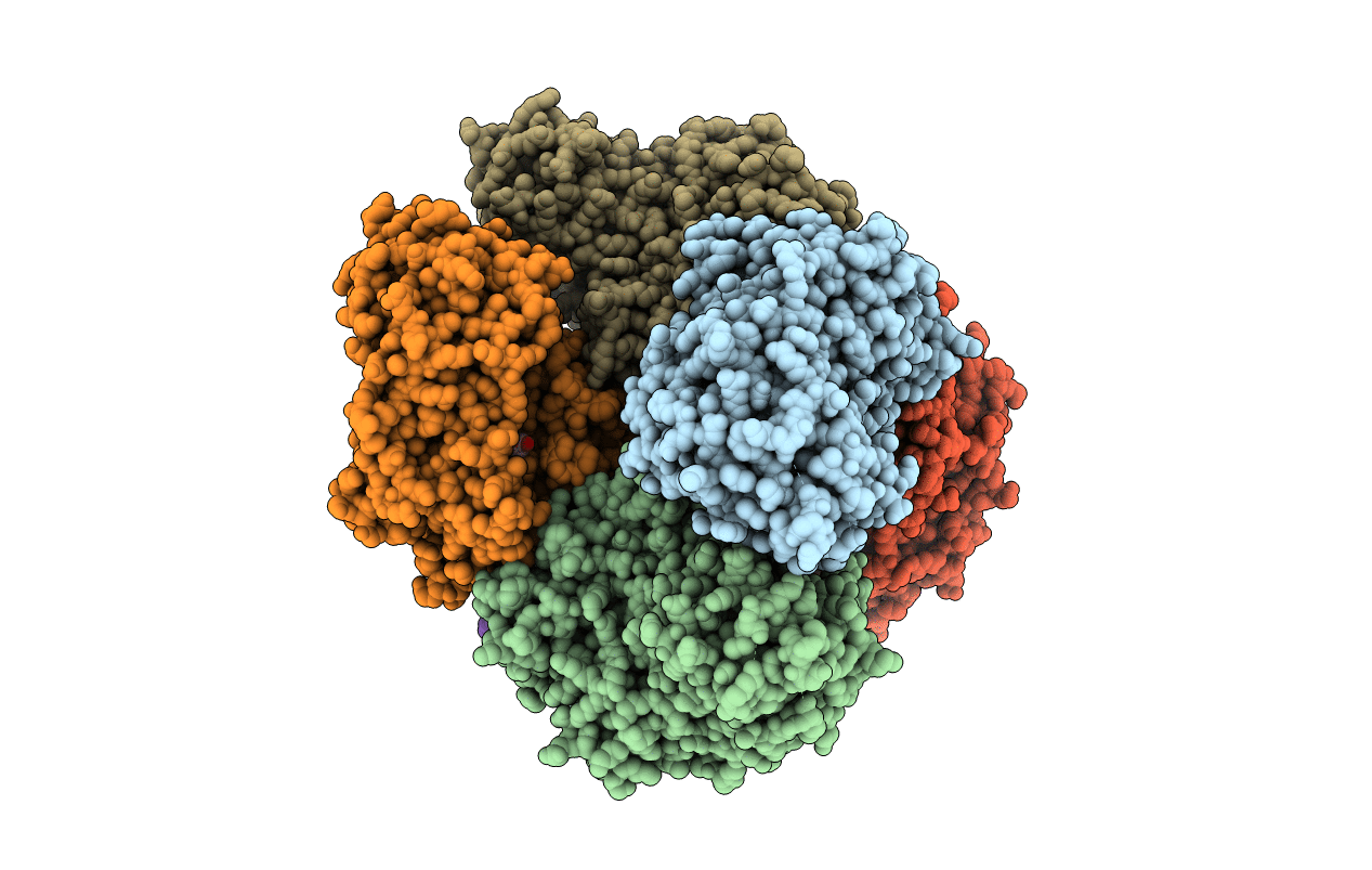 5O80 image