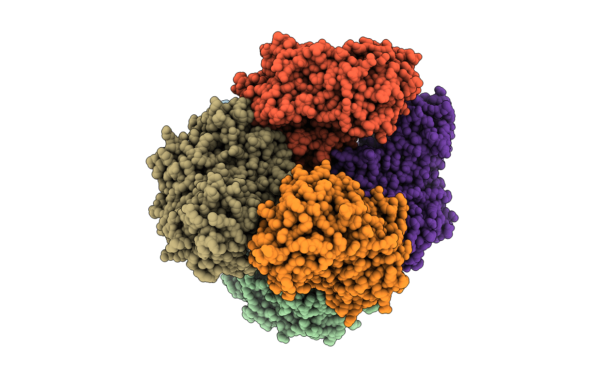 5O81 image
