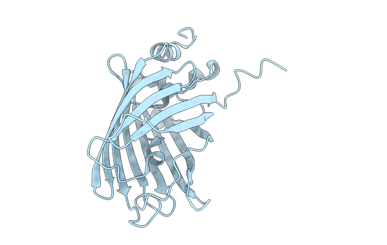 5O8C image
