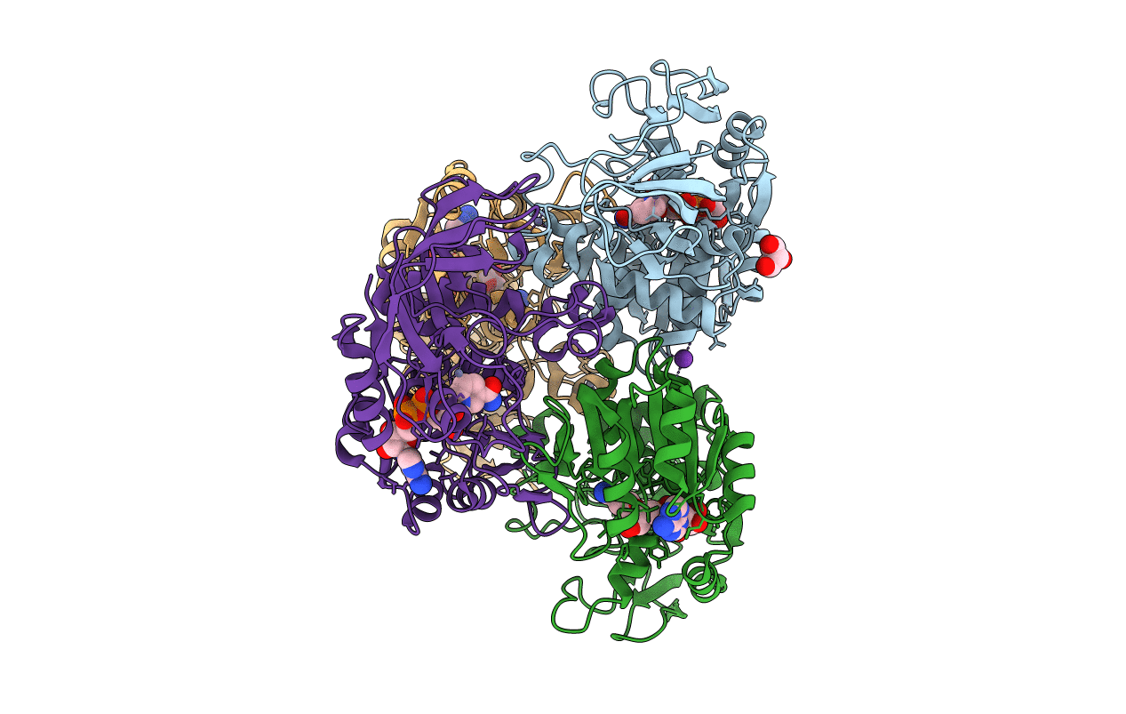 5O8H image