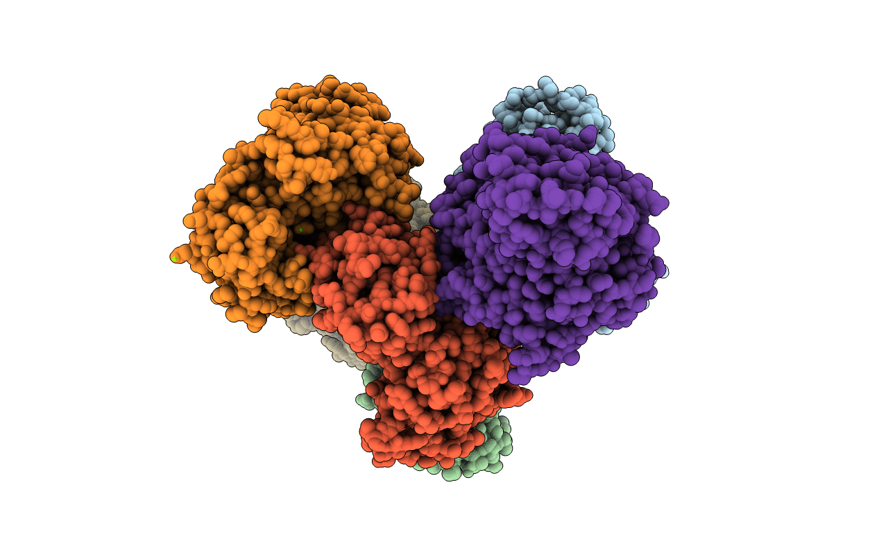 5OAT image