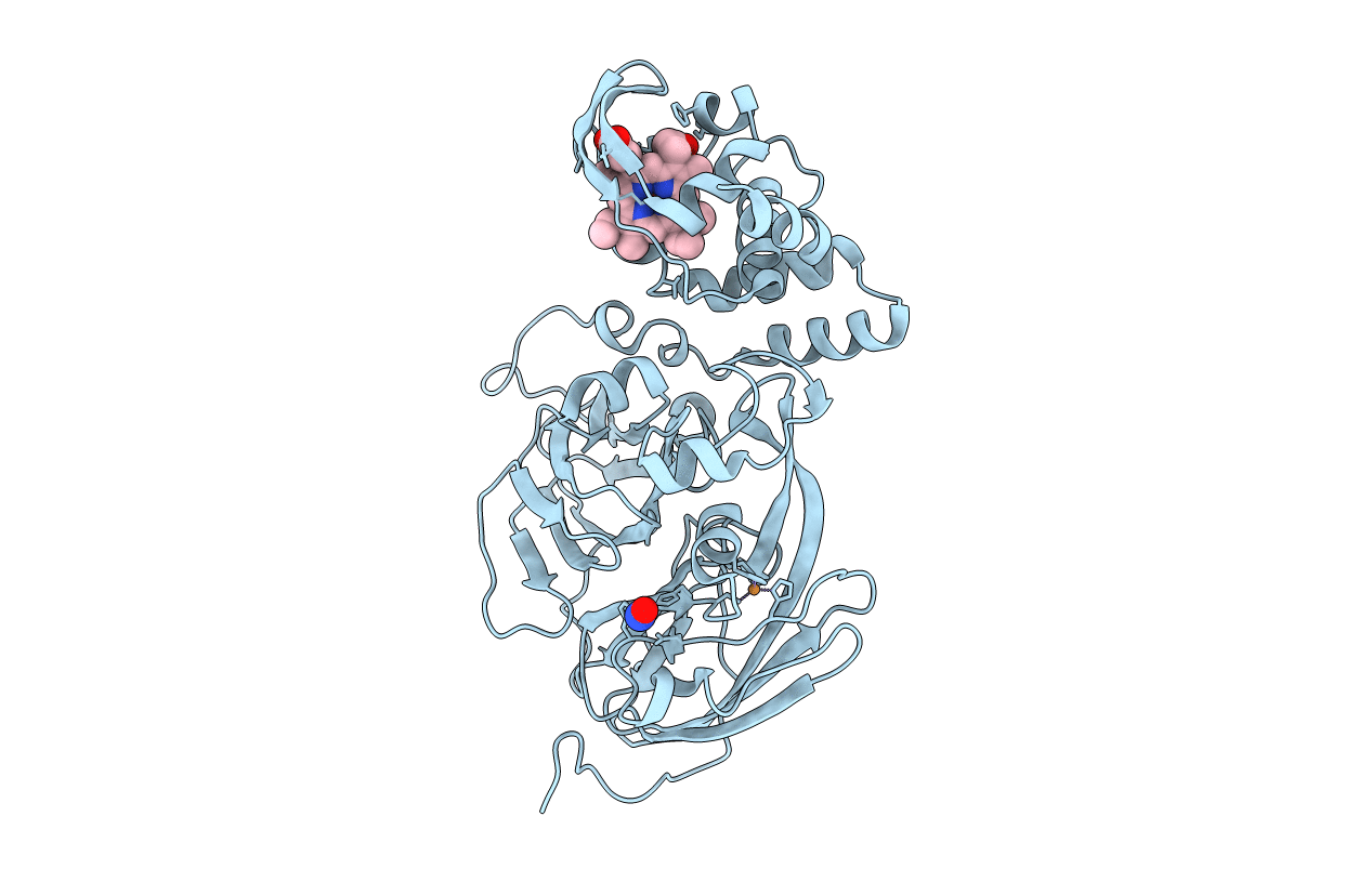 5OCB image