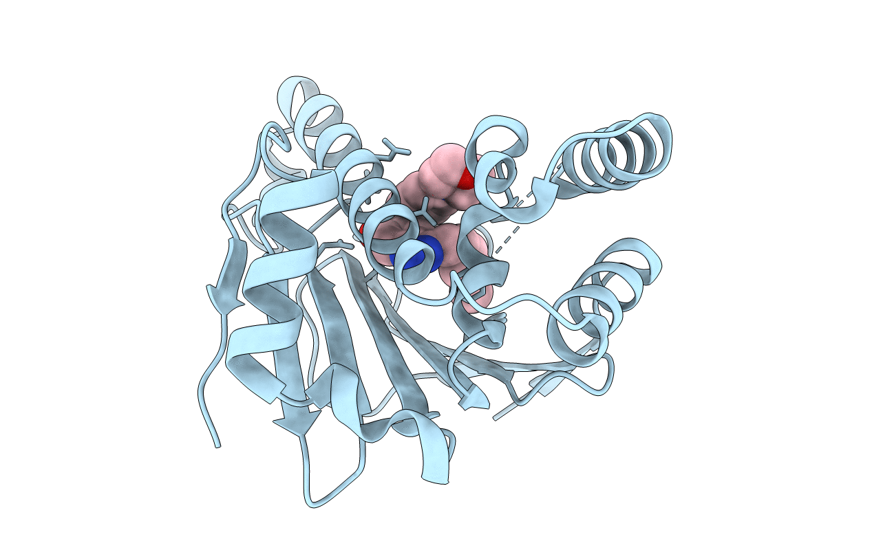 5OCI image