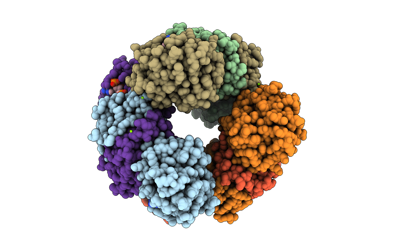 5OCM image