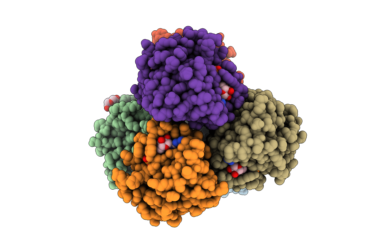 5OCO image