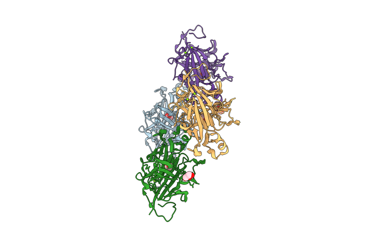5OCR image
