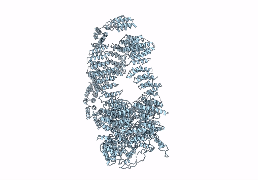 5OEJ image